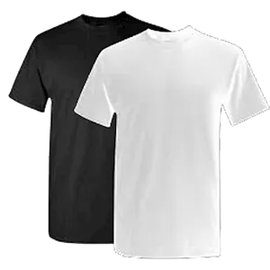 Gildan G500 T-Shirt Blanks
