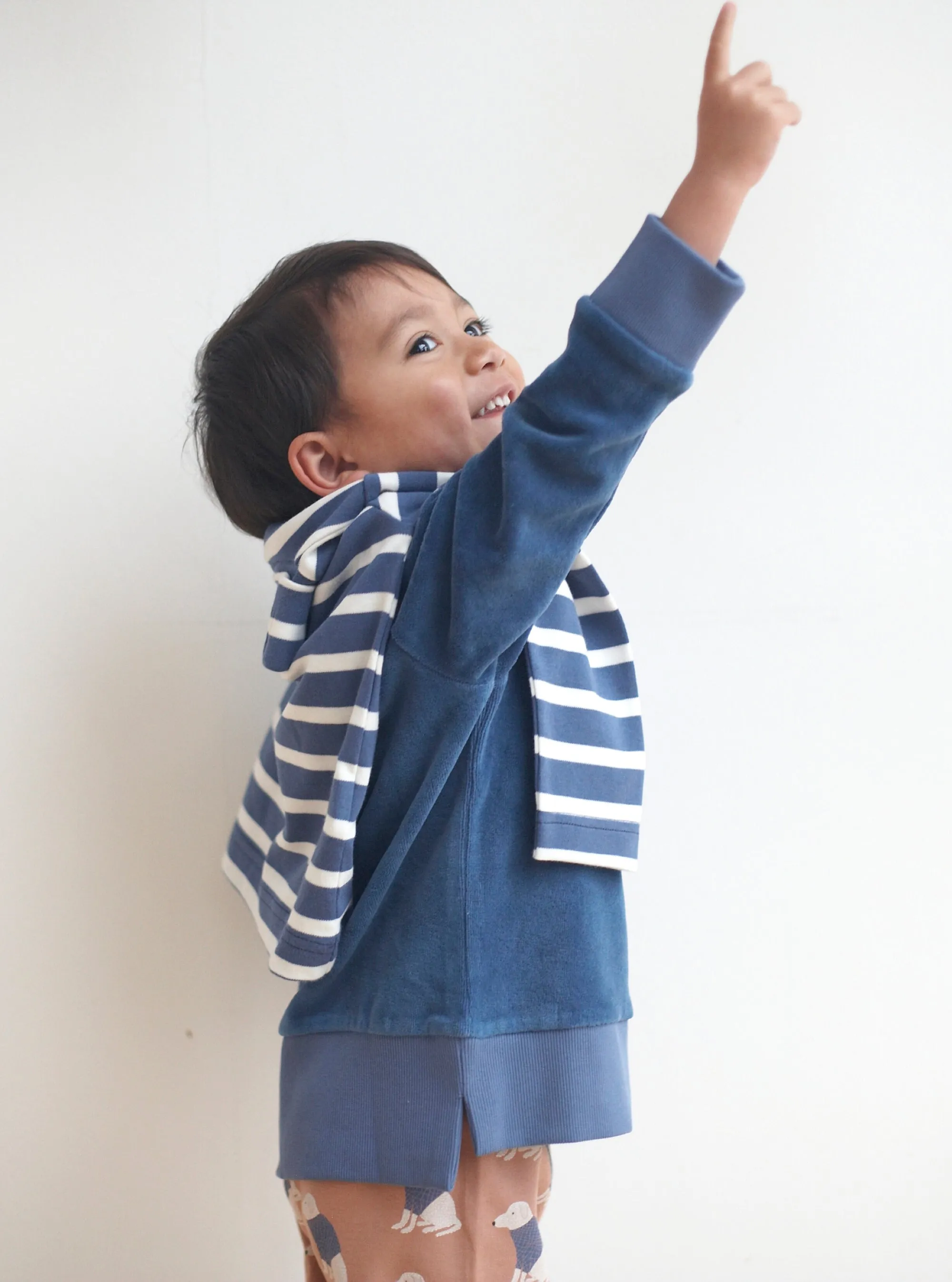 Pigeon Organics - Velour sweatshirt, night blue