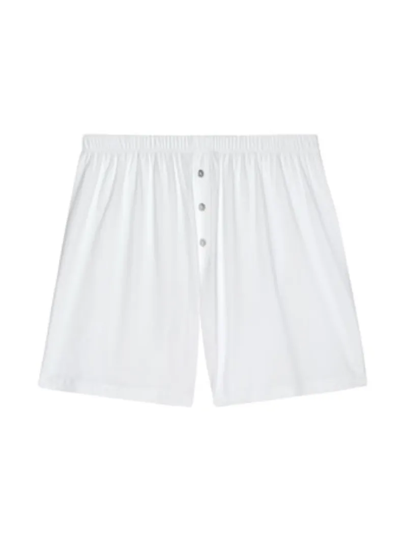 The Jersey Boxer in Powder